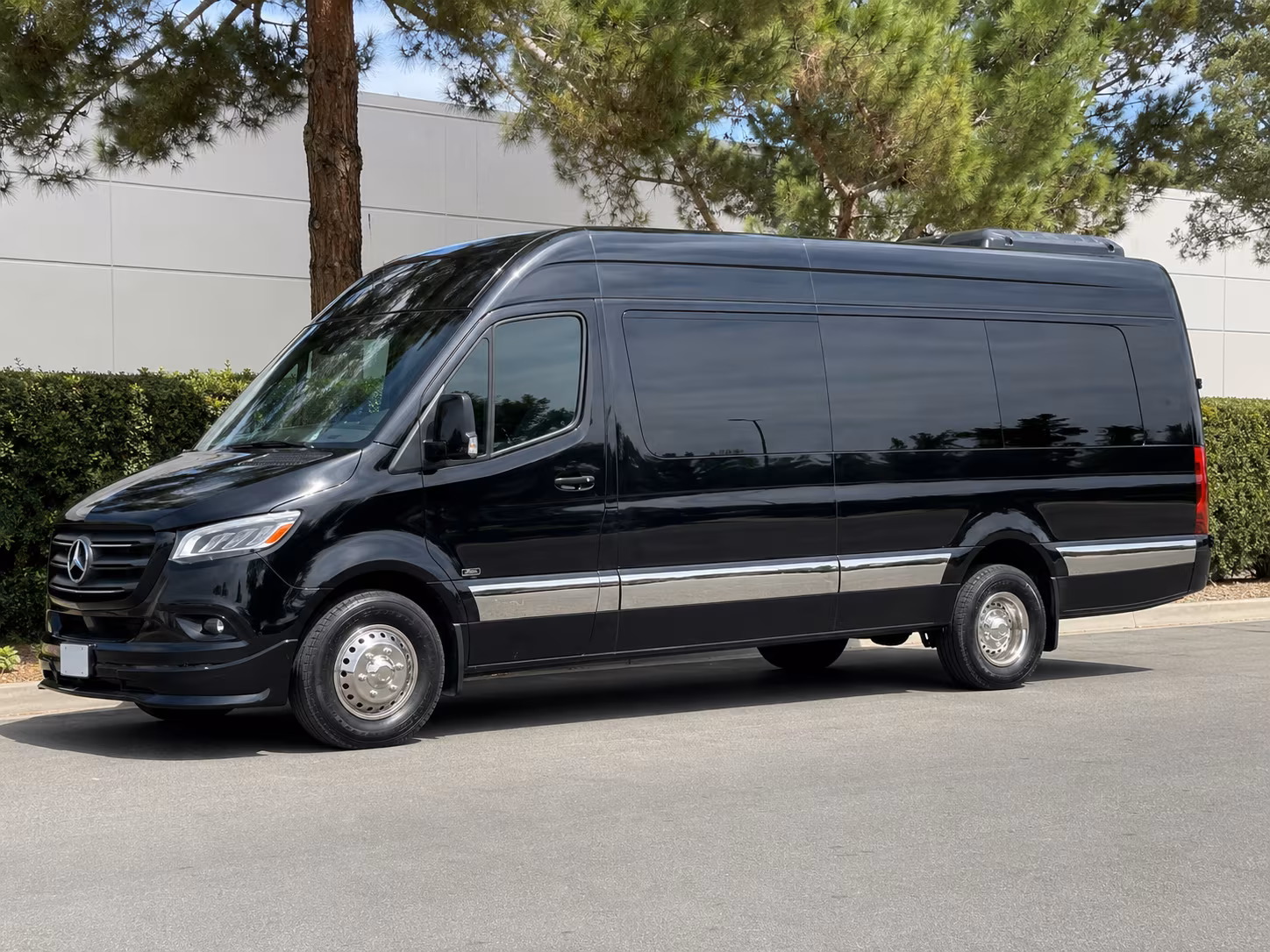 anaheim sprinter van with driver